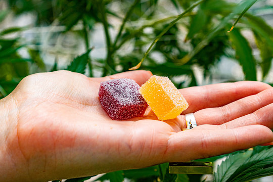LOW DOSE THC GUMMIES